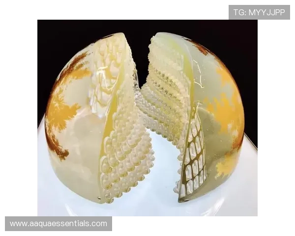 尊龙凯时电子竞技：电竞游戏最新版本更新内容与玩家应对策略详解