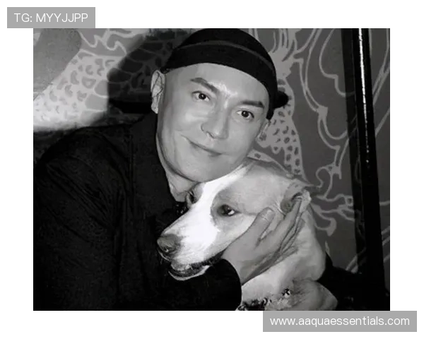 尊龙现金一下可靠送38元，平台信誉保障让你放心参与每一次游戏体验